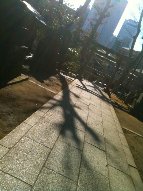 氷川神社